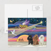 Kerstster - Poodles (drie Speelgoed) - Feestdagenkaart (Voorkant / Achterkant)