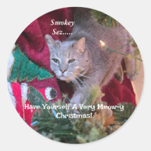 Kerststickers voor katten