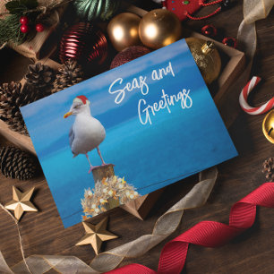 Kerststrand Zee en groeten Meeuw Oceaan