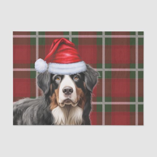 kersttartan Pset en Bernese Mountain Dog Tissuepapier (Voorkant)