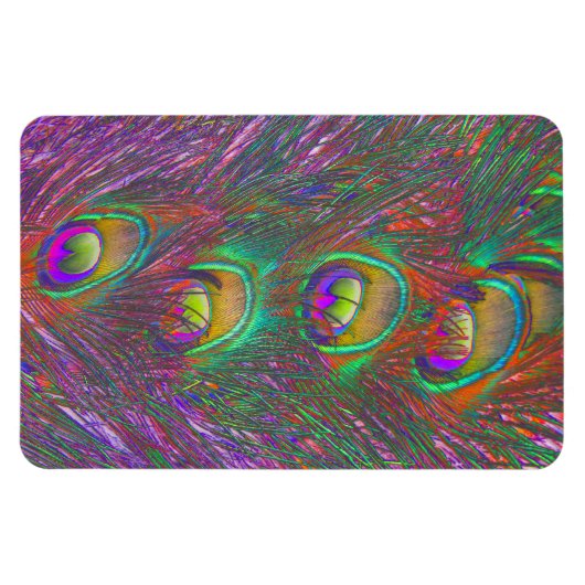 kersttinsel Peacock Feathers Magneet (Horizontaal)