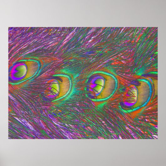 kersttinsel Peacock Feathers Poster (Voorkant)