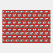 Kersttrio van Bristol Inpakpapier Vel (Voorkant)