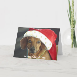 Kerstvakantie Kaart - Santa Dachshund