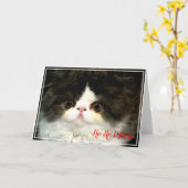 Kerstvakantie zwart witte pluizige Kitten Kaart (Gele Bloem)