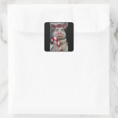**KERSTVARKEN** STICKERS (Tas)