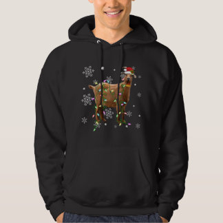 Kerstverlichting Geitenliefhebber Grappige Kerstma Hoodie