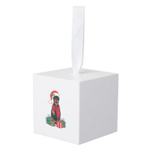Kerstverlichting Kerstman Hoed Dobermann Hond Kers Kubus Ornament