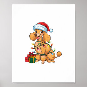 Kerstverlichting Kerstman Hoed Poodle Hond Kerstmi Poster