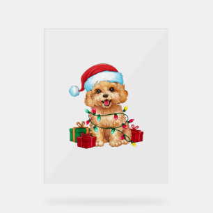 Kerstverlichting Santa Hat Maltipoo Dog Christmas Acryl Bord