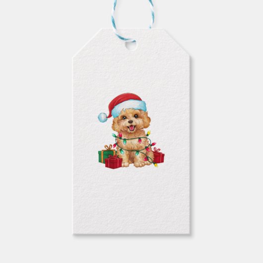 Kerstverlichting Santa Hat Maltipoo Dog Christmas Cadeaulabel (Voorkant)