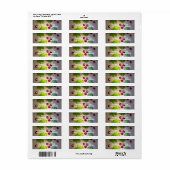 Kerstversiering 11 etiket (Full Sheet)