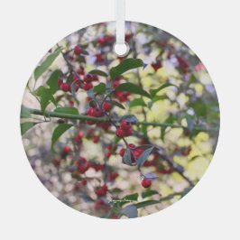 kerstversiering glas ornament