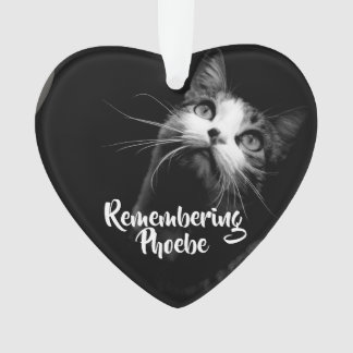 Kerstversiering Herdenking van je kat Ornament