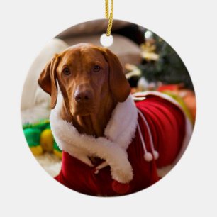 Kerstversiering (Holly) Keramisch Ornament