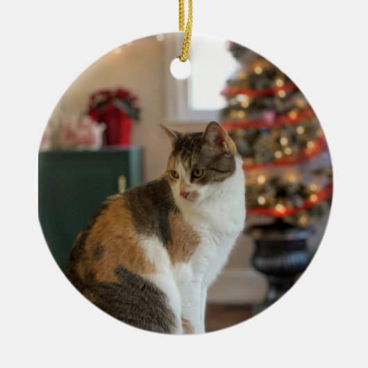 kerstversiering Kat Keramisch Ornament (Voorkant)