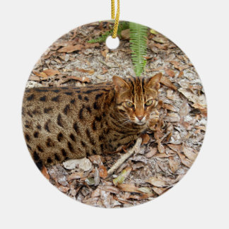 kerstversiering met bengachtige kat keramisch ornament