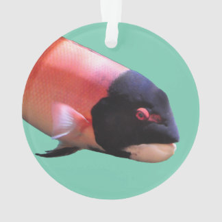 kerstversiering met sapeshead ornament