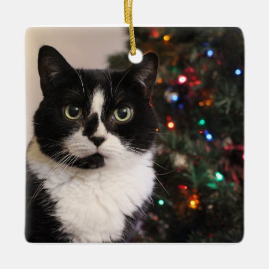 Kerstversiering met Tuxedo Cat Keramisch Ornament (Voorkant)