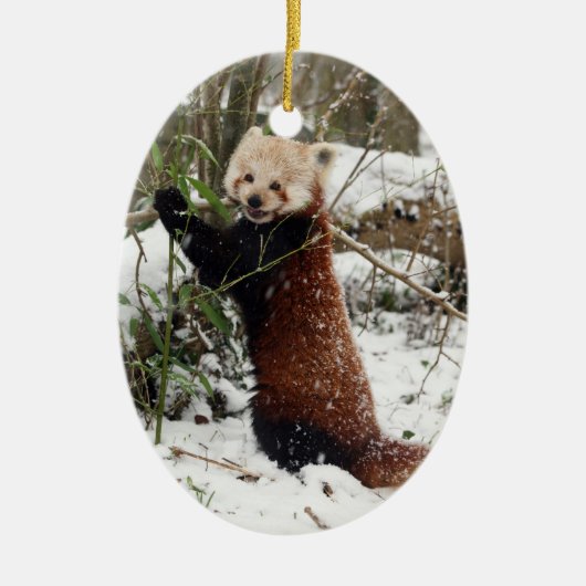 Kerstversiering - rode panda keramisch ornament (Voorkant)
