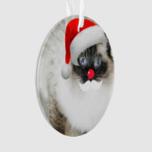 kerstversiering voor de kerstkerstkerstsieraad van ornament (voorkant)