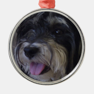 kerstversiering voor maltipoo metalen ornament