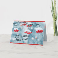 Kerstverslaafden, psalm 29:11 Bijbelverse versie