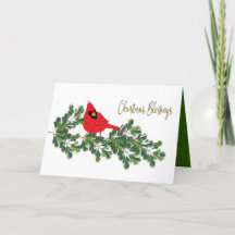 Kerstverslaafden rode kardinaal op de pine tak