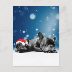 Kerstvlieger Puppies sneeuw santa hat Feestdagenkaart