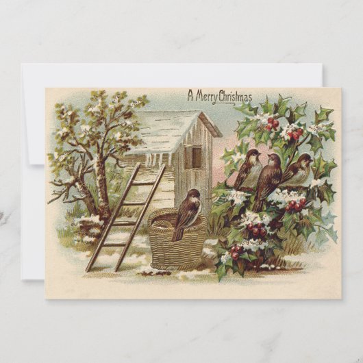 Kerstvogel Holly sneeuwladder oogst Kaart (Voorkant)