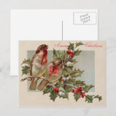 Kerstvogel zangvogel Holly Snow Feestdagenkaart (Voorkant / Achterkant)
