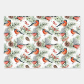 Kerstvogels Greenery Inpakpapier Vel (Voorkant)