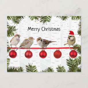Kerstvogels op een tak feestdagenkaart