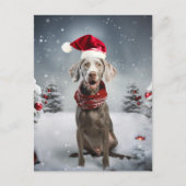 kerstweimaraner Dog Briefkaart (Voorkant)