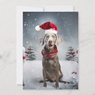 kerstweimaraner Dog Feestdagenkaart