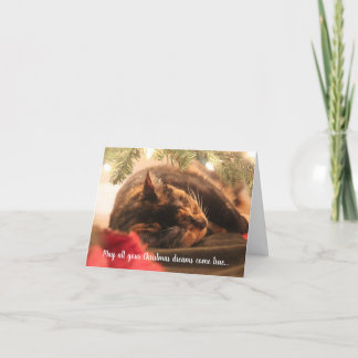 Kerstwens Slaande Calico Kat, Persoonlijk Feestdagen Kaart