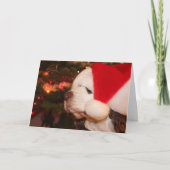 Kerstwensen Feestdagen Kaart (Voorkant)