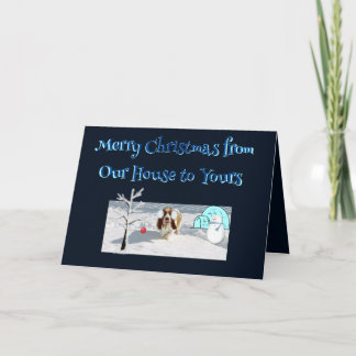 Kerstwensen w/Mooie Basset in de Sneeuw Kaart