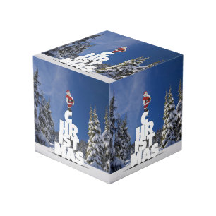Kerstwinter landschap kubus