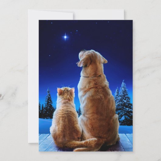 Kerstwonder van kat en hond kaart (Voorkant)