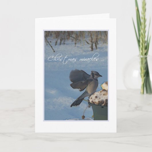 KERSTWONDEREN FEESTDAGEN KAART (Voorkant)