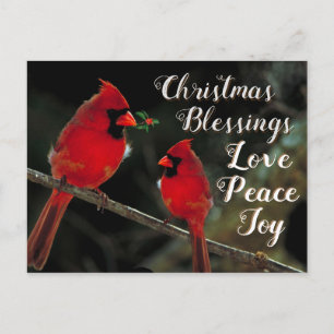 kerstzegeningen, liefdesvreugde, kardinalen briefkaart
