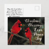 kerstzegeningen, liefdesvreugde, kardinalen briefkaart (Voorkant / Achterkant)