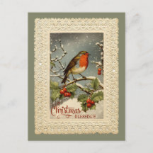 Kerstzegeningen Robin voortplanting