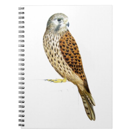 Kestrel 2011 notitieboek (Voorkant)