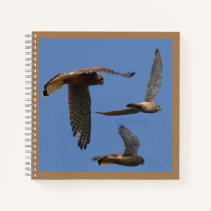 Kestrel Birds Photography Cust. Carnet texte