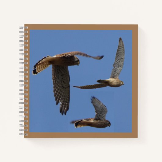 Kestrel Birds Photography Cust. Carnet texte (Devant)