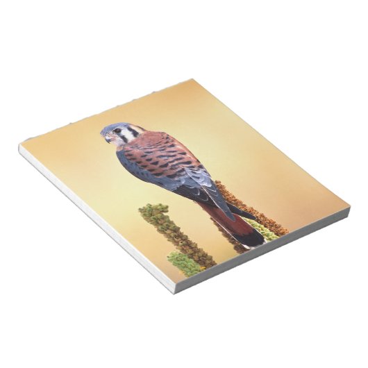 Kestrel, Falco sparverius, Inheems voor de VS en C Notitieblok (Schuin)