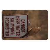 Kestrel Magneet (Horizontaal)