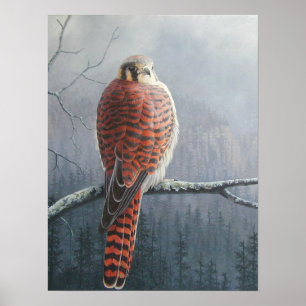 Kestrel Poster